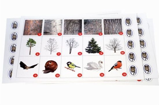 Игра-путешествие "Зимняя сказка"