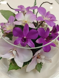 натуральные орхидеи в стекле, вакуум