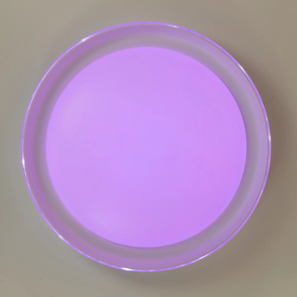 Citilux MEGA CL752350G LED RGB Светильник с пультом Белый