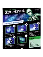 Научный опыт Гипсовый скелет человека Эврики