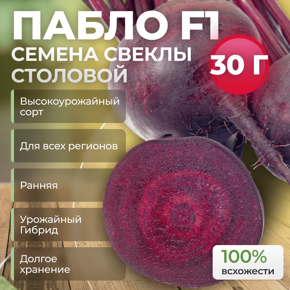 ПАБЛО F1 семена свеклы (Bejo | Alexagro) – фото 7