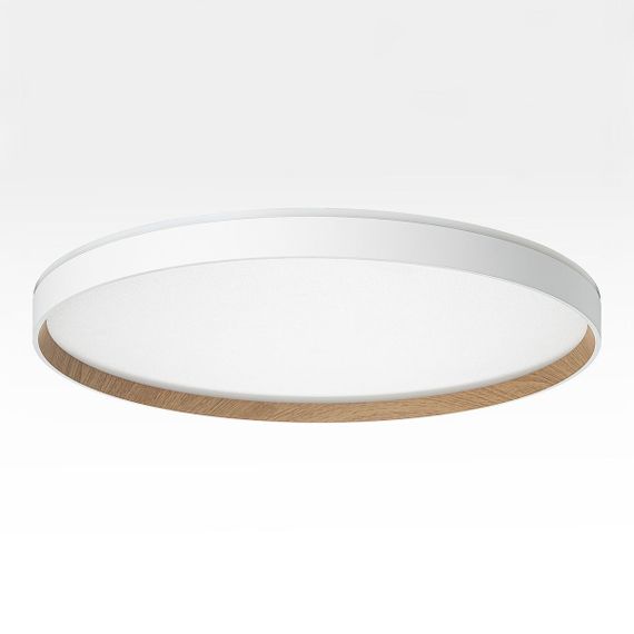 Потолочный светодиодный светильник Citilux Etalon CL750500R