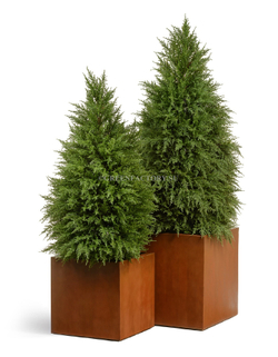 Кашпо TREEZ Effectory - серия Corten Steel - Высокий куб - Кортеновская сталь - Бархатистая окись