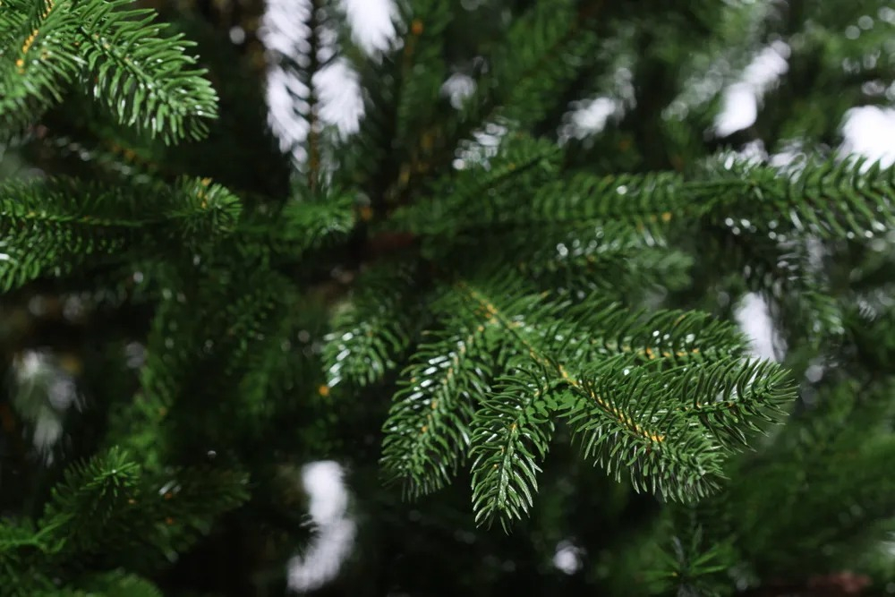 Ель искусственная Прайм 185 см