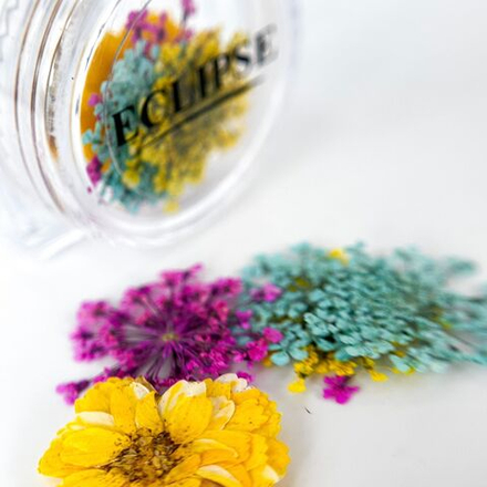 Декор в банке Сухоцветы №6 мятно-желто-малиновый ECLIPSE