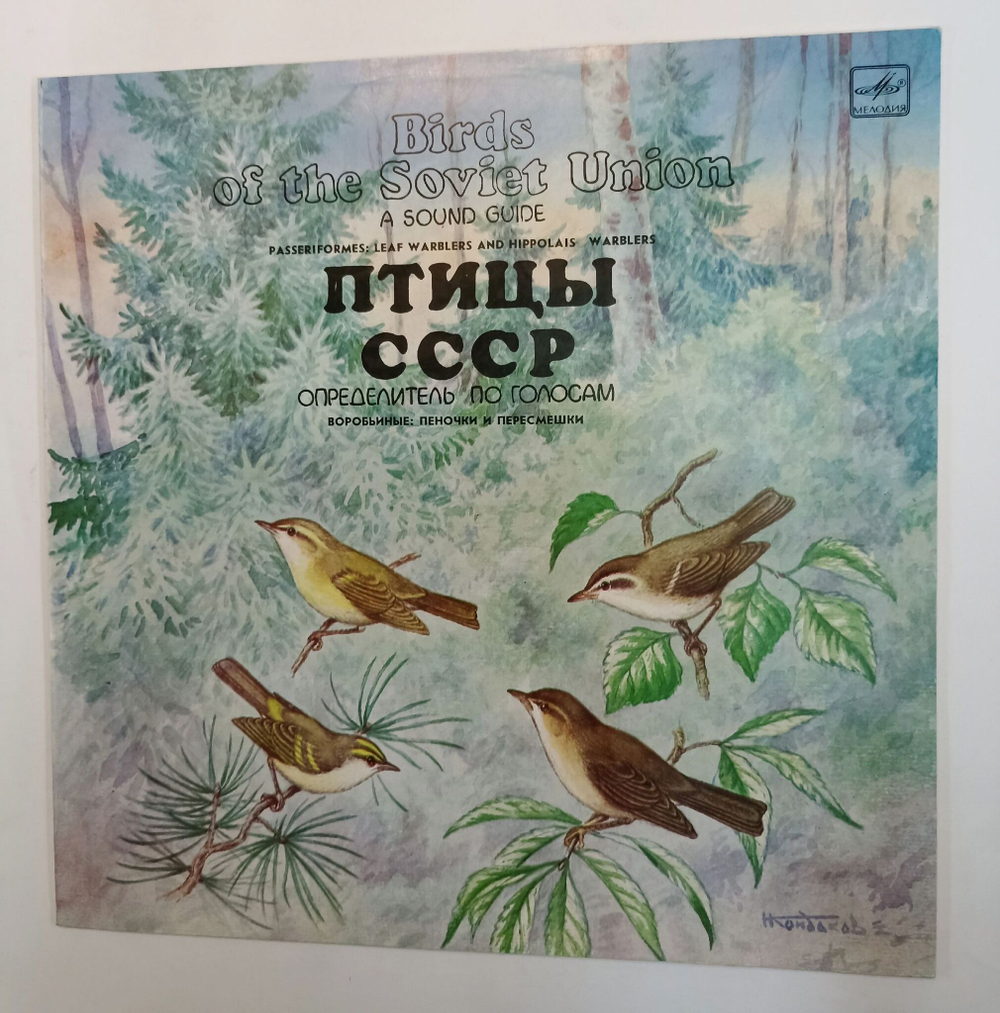 Винтажная виниловая пластинка LP Воробьиные: Пеночки И Пересмешники (Passeriformes: Leaf Warblers and Hippolais Warblers) (СССР 1987)
