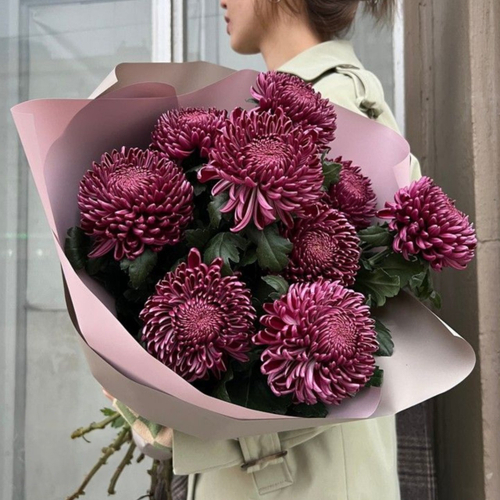 Букет из бордовых хризантем "Wine Bloom"