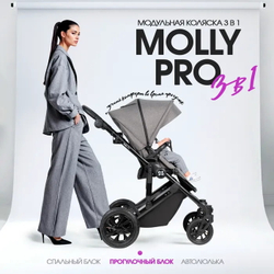 Детская коляска Farfello Molly Pro 3 в 1 серый
