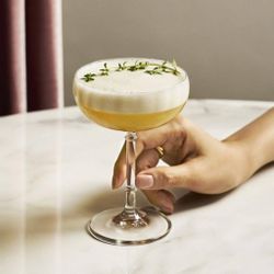 Бокал для коктейля 170 мл хр. стекло "Orient Rims" d 8,9 см h17 см Lucaris [6]