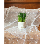 Набор для выращивания eco мини-кашпо «Усы»