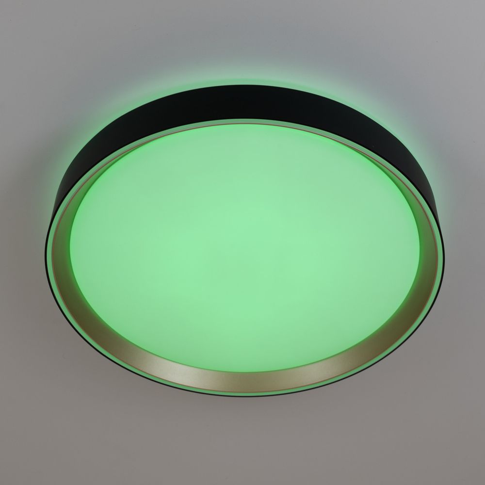 Citilux BOSS CL751351G LED RGB Светильник с пультом Чёрный с Золотом