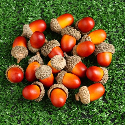 Садовый декор «Желудь» - 20 шт. (Цвет: не задано)