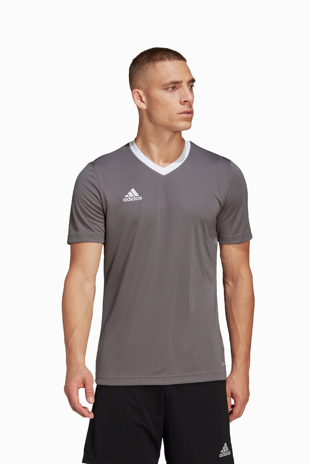 Футболка adidas Entrada 22