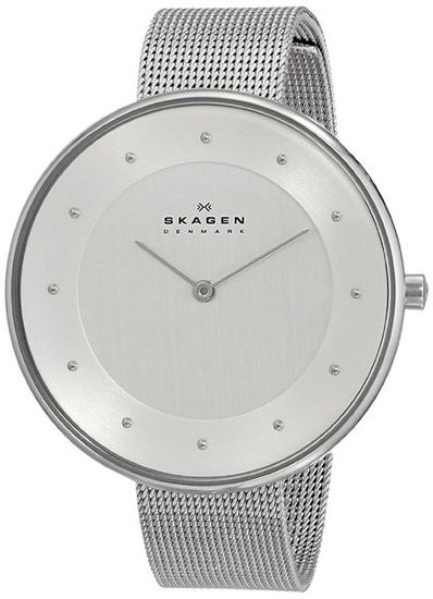 Наручные часы Skagen SKW2140