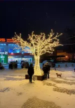 Светодиодное Дерево