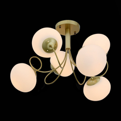 Светильник потолочный Evoluce Acini SL717.202.06