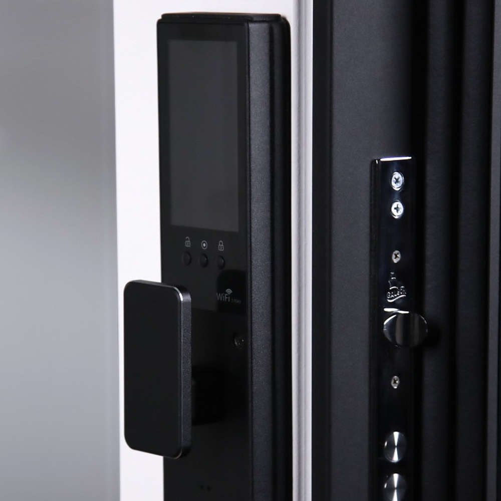 Стальная дверь "Берилл" с зеркалом (биометрический замок Y23). Заказная модель.