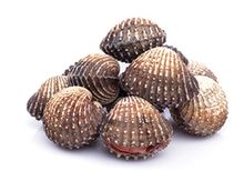 Анадара Японская живая, шт