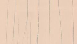 Crush Motion / Essentiell