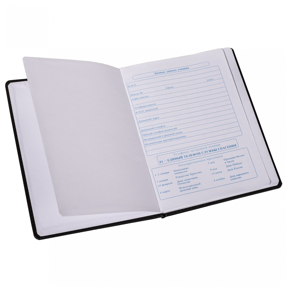 Дневник школьный Alingar 1-11 кл., 48л., 7БЦ, иск. кожа, поролон, тиснение, голубой, "Цветочный узор"