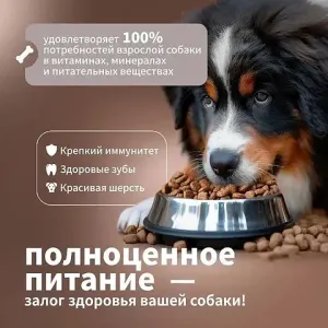 Сухой корм Дилли для взрослых собак с индейкой и рисом