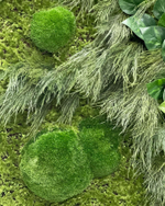 21.02. Вертикальное озеленение искусственными и стабилизированными растениями и мхом.