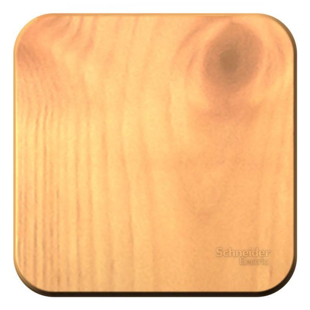 Выключатель 1-кл. ОП Blanca 10А IP20 (сх. 1) 250В с изолир. пластиной ясень SE BLNVA101015 Выключатель 1-кл. ОП Blanca 10А IP20 (сх. 1) 250В с изолир. пластиной ясень SE BLNVA101015