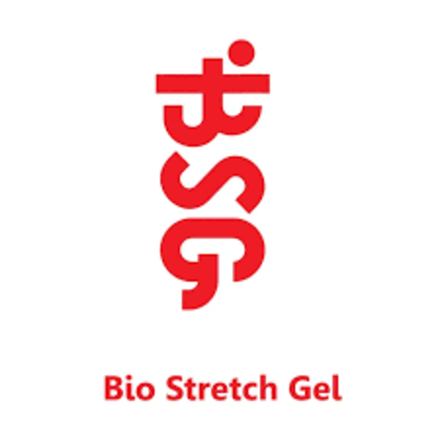 BSG