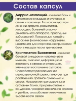 Тайские натуральные капсулы от боли в суставах и мышцах