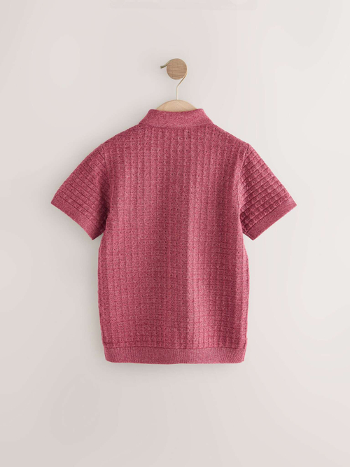 Рубашка трикотажная с коротким рукавом для мальчика Next AA8-957, Темно-красный