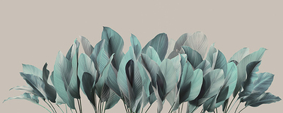 Фреска Applico, коллекция Tropic