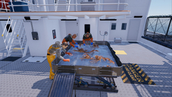 Fishing: North Atlantic - Enhanced Edition (для ПК, цифровой код доступа)