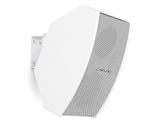 CVGaudio AXE5:DANTE-W – активная двухполосная акустическая система