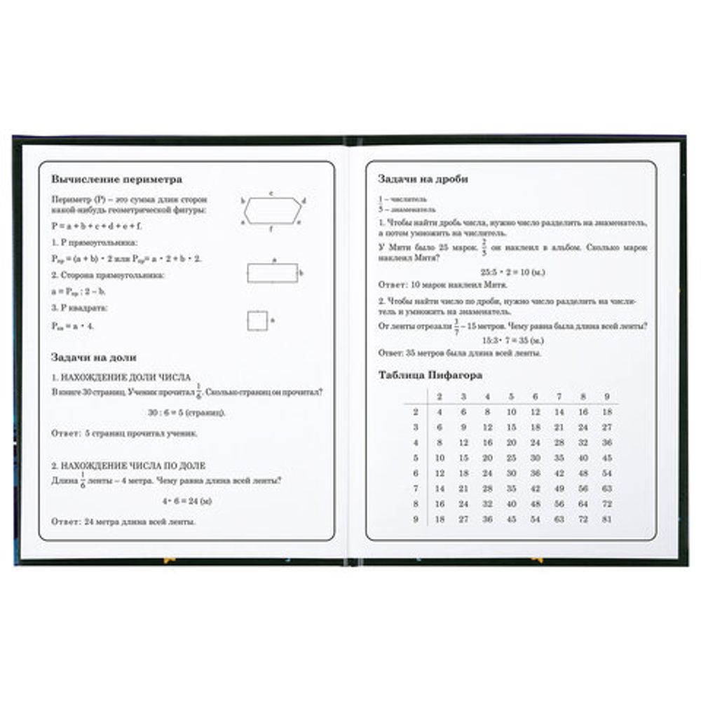 Дневник 1-4 класс 48 л., твердый, BRAUBERG, глянцевая ламинация, с подсказом, "Аниме котики", 106831