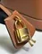 Сумка CELINE IN SMOOTH SATINATED CALFSKIN коричневая