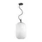4752/1 PENDANT ODL21 489 белый/черный Подвес E27 60W ROOFI