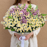 Букет из ромашек и сирени