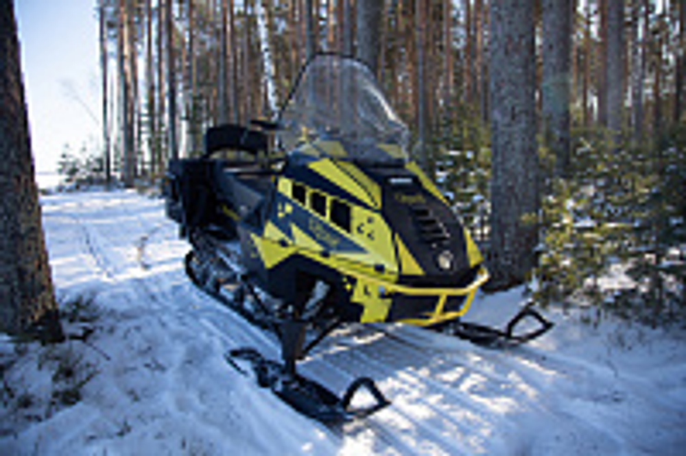 Снегоход Рыбак Торос 600S 800Pro