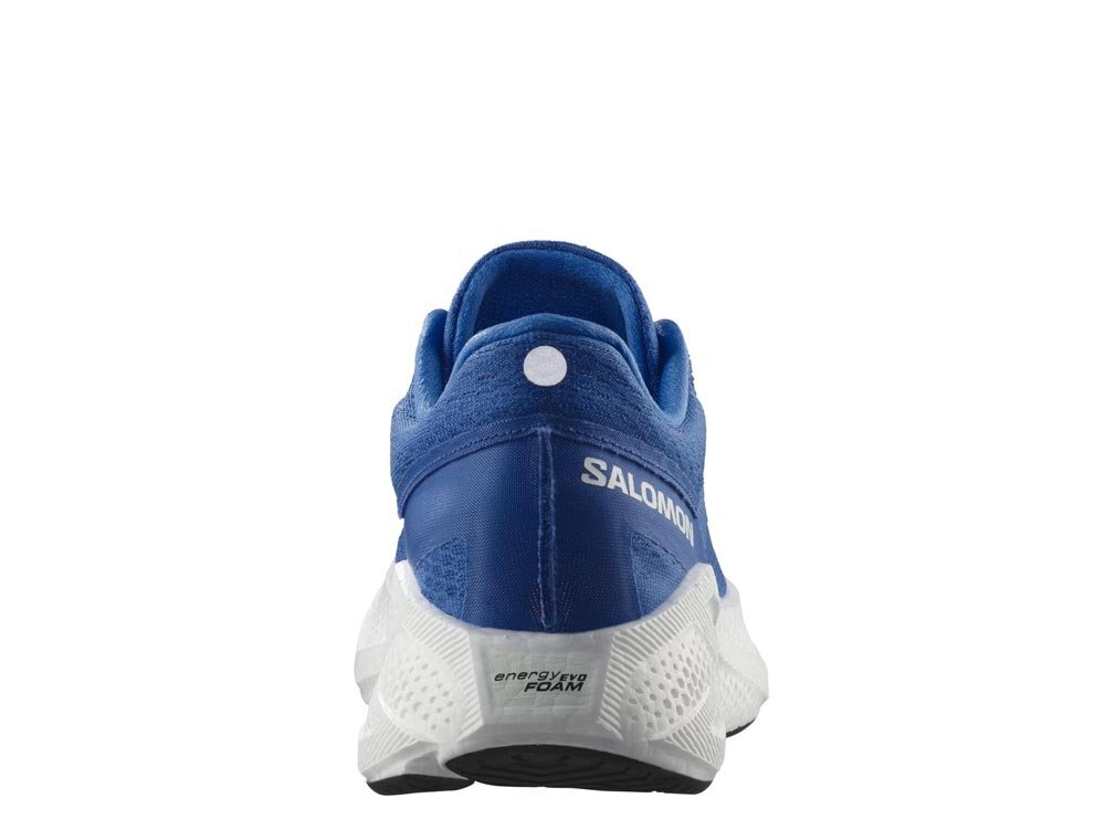 Кроссовки для бега мужские Salomon Aero Glide 3 M Синий и Белый