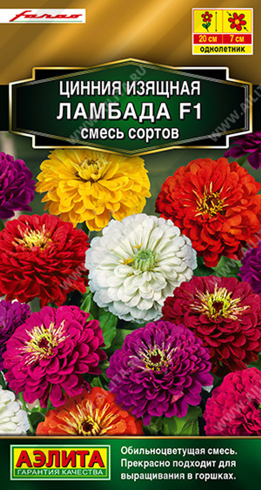 Циния Ламбада, смесь окрасок 12шт Аэлита