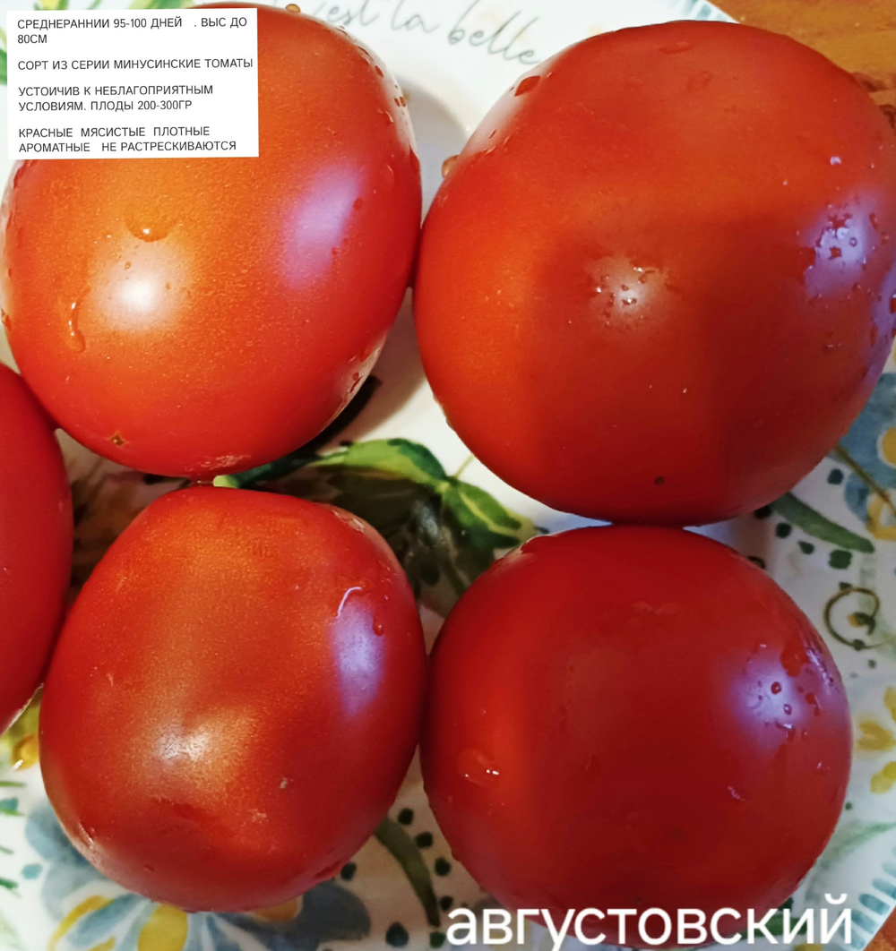 РАССАДА ТОМАТОВ АВГУСТОВСКИИЙ МИНУСИНСКИЙ