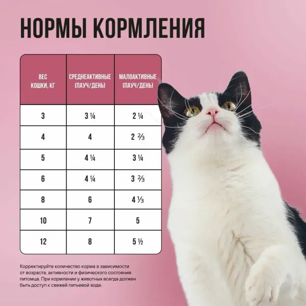 Пауч BOWL WOW для стерилизованных кошек с телятиной с овощами, кусочки в соусе