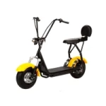 Электроскутер CityCoco Skyboard BR-10 1500W 20AH/60V