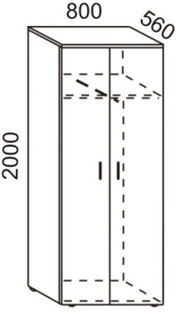 Шкаф для одежды 800×560×2000 (ШФ222)
