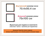 Рама 70x95 для картин и фотографий RP1350500-03