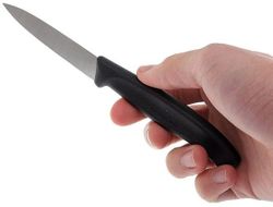 Набор кухонных ножей Victorinox Swiss Classic 8 см (6.7603.B) 2