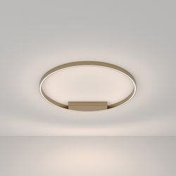 Накладной светильник Maytoni Rim MOD058CL-L50BSK