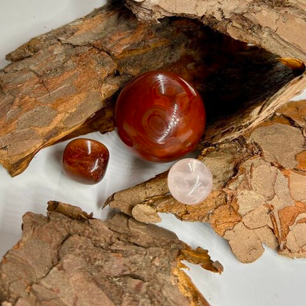 Набор для Тельца