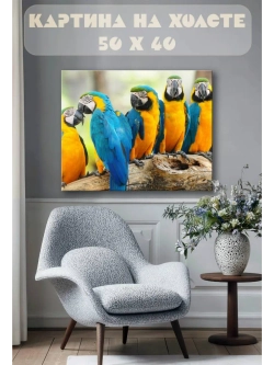 Картина на стену 40 X 50 Попугаи