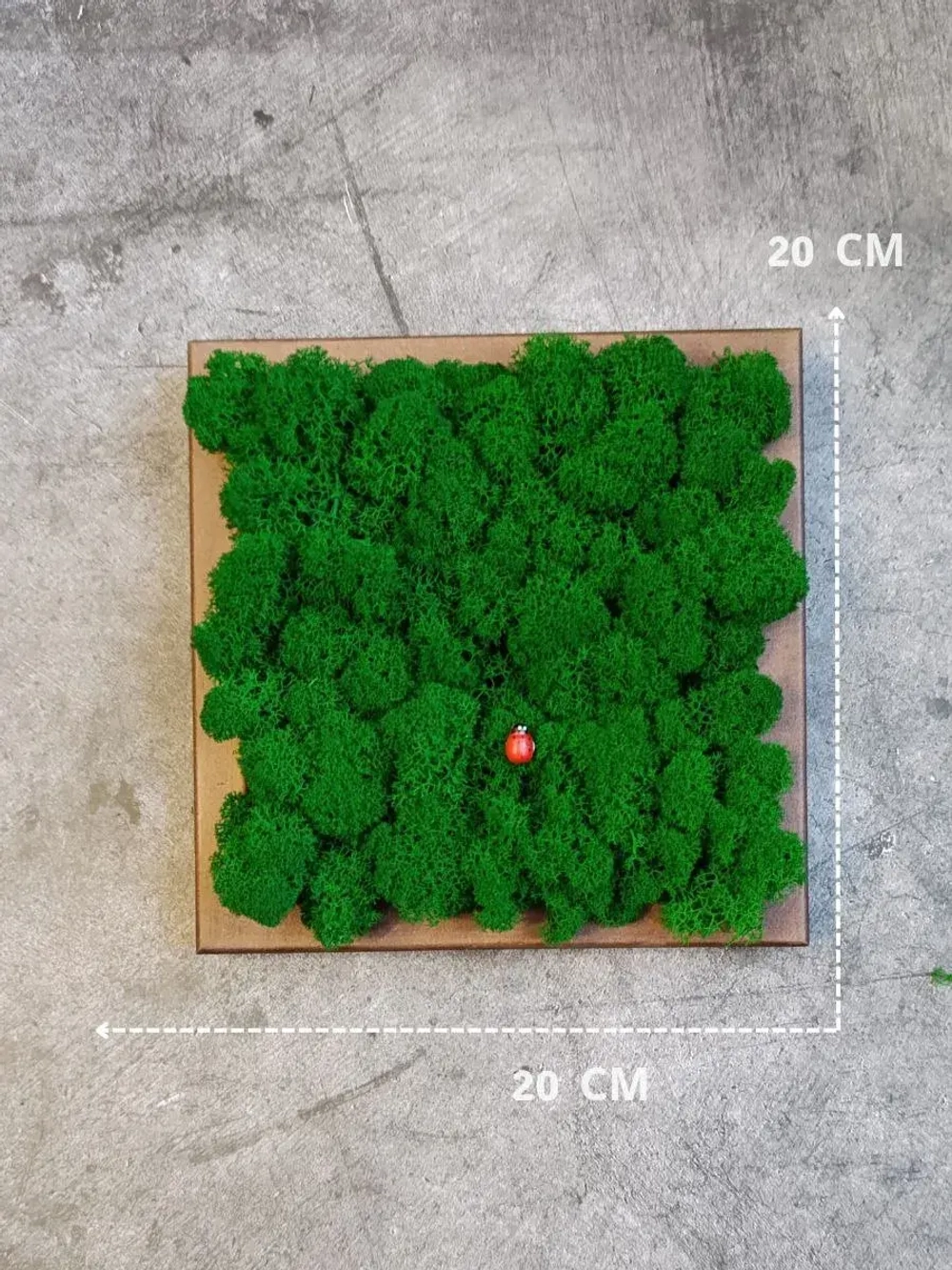 Квадратное панно на стену 20*20 из мха набор 1 шт.